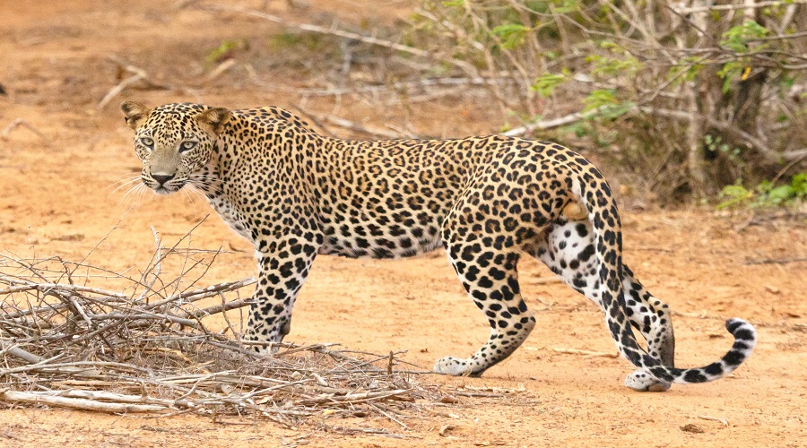 Explore Tanzania’s Best with a 6-Day Camping Safari